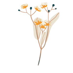 Biohême - Infusion bio - Tilleul vrac