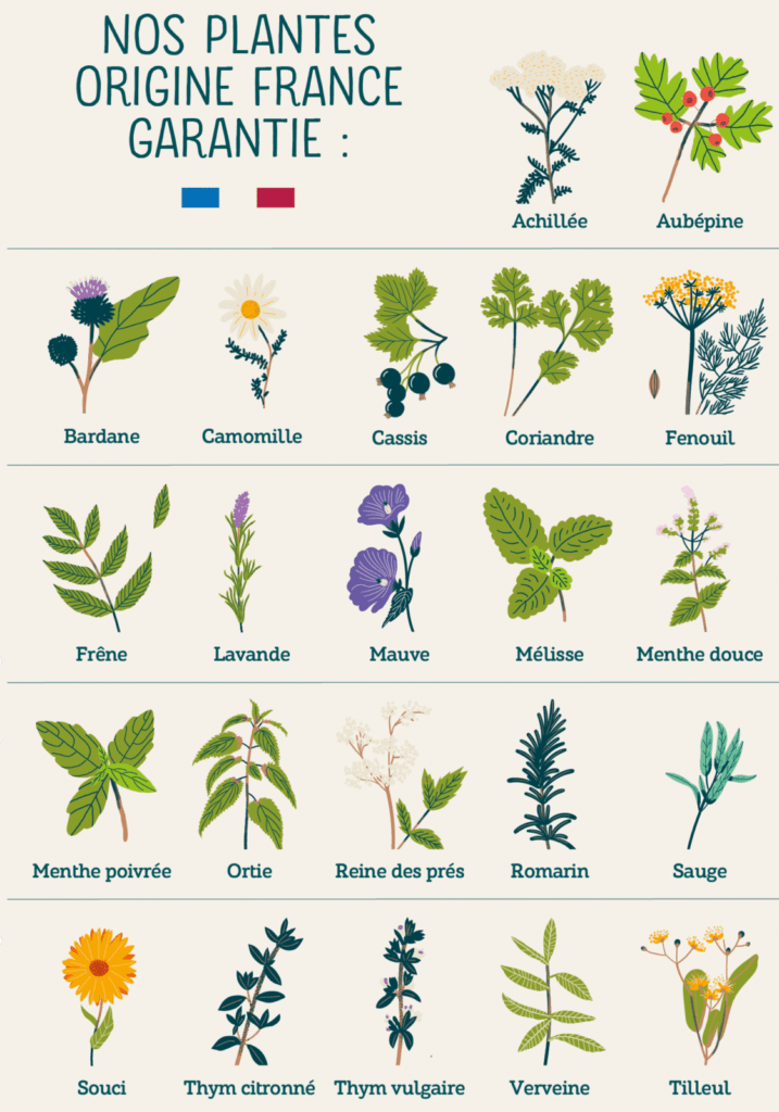 Biohême infusions bio plantes françaises